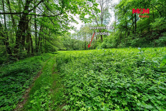 Prodej lesa, 491 m², Bohouňovice I - 3