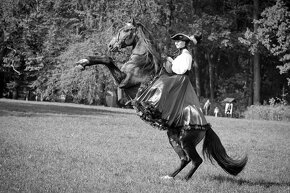 lusitano hřebec - 3
