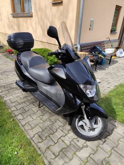 Honda 250 fes - 3