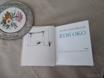 Rybí oko - kolibřík - 3