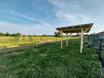 Zastínění, přístřešek pro ovce, kozy, poníky a jiné - 3