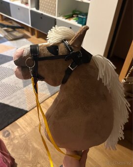 Hobby horse od WD - 3