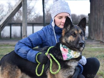 GRACIA K ADOPCI - 3,5 ROKU,KONTAKTNÍ,PŘÁTELSKÁ,HRAVÁ - 3