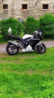 Yamaha YFZ R1 2002 - 3