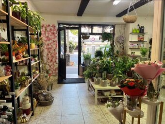 Přenechání květinářství - 3