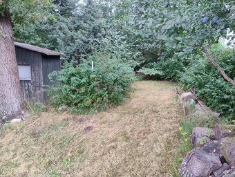 Zahrada v Zákupech - 3