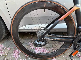 Campagnolo BORA ULTRA WTO 60 DB, model 2025 - 3