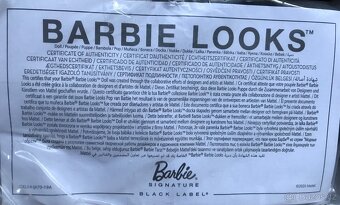 Panenka - Barbie Looks, Basic a Fashionistas - 3