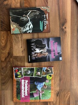 Knihy s koňskou tematikou - 3