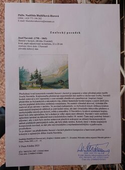 Josef Navrátil - kvaš na papíře - sign.-posudek-Top originál - 3