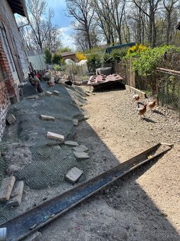 Slepičí NÁSADOVÁ vejce - 3