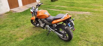 Honda Hornet 600 - 3
