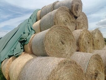 Seno první seč 2025 - 3