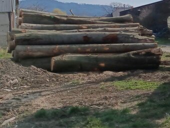 PRODEJ PALIVOVÉHO DŘEVA +DOPRAVA ZDARMA - 3