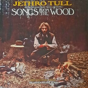 Prodám mnoho nových i použitých LP desek, různé kapely - 3