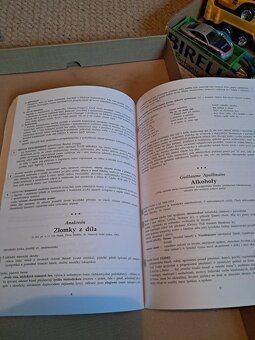 Český jazyk a literatura - M.Sochrová - 3