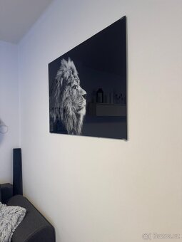 Skleněný obraz Lev - 3