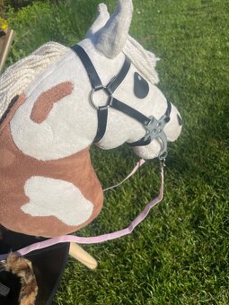 hobby horse - 3