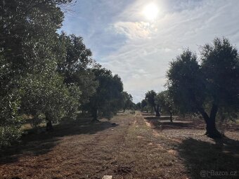 Stavební pozemek 18.000m2 na jihu Itálie 7km od moře - 3