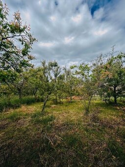 Zahrada Kyjov Sliny, plocha 1049m - 3