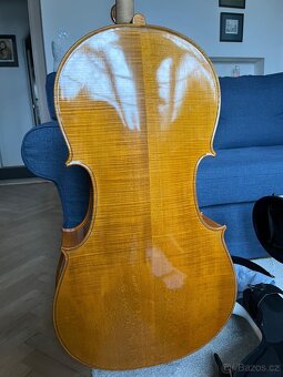 Violoncello 1/1 - 3