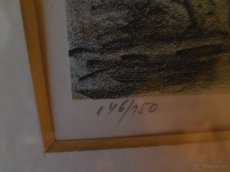 obraz -Litografie J.B. Melichar 1908 +1994 - 3