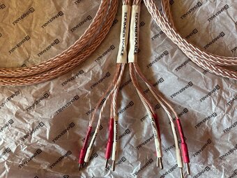 Kimber Kable 12TC - 3