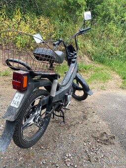 Manet korado - 3