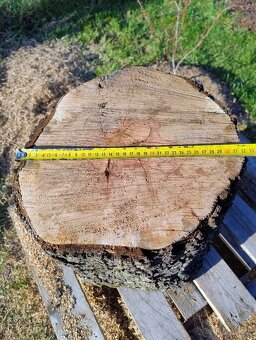 Špalek hruška / švestka - 3