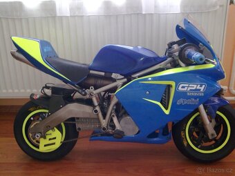 minibike Pollini GP4 profi - 3