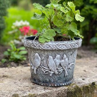 Koupím staré obrazy a dekorace - 3