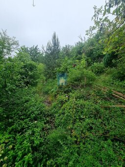 Prodej zahrady s chatou Zdiby, Praha-východ, 527 m2 - 3