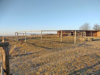 Ustájení koní - 3