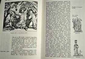 MAGICKÁ  KUŘIDLA   /   Josef Veselý - 3