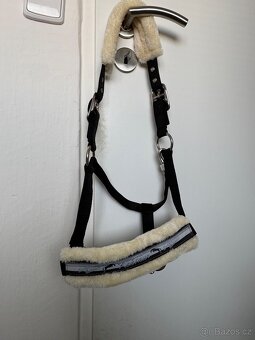 Nová ohlávka a vodítko Kentaur s beránkem - 3