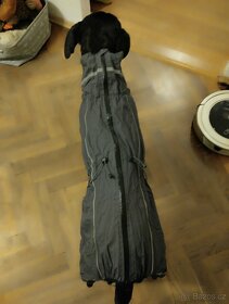 Obleček pro psa - 3