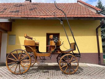 Prodám loveckou bryčku (kočár) - 3