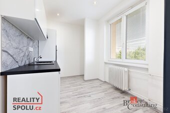 Pronájem, byty/2+1, 54 m2, Táborská 1946/14, Východní Předmě - 3