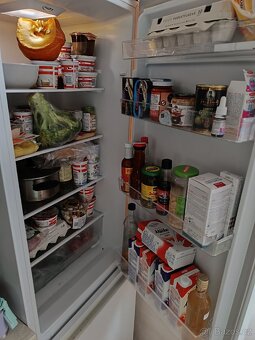 Lednice s mrazákem - 3