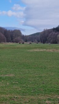 Nabízím ustájení - 3