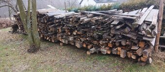 Dřevo za odvoz UŽ POUZE VĚTVE - 3