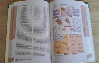 Atlas patofyziologie - 3