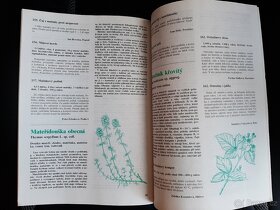 Roste kolem nás - Zdeněk Brezina - 3