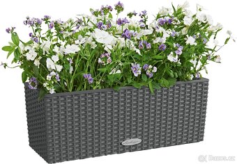 Antracitový samozavlažovací truhlík Lechuza Balconera - 3