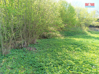 Prodej pozemku, 2141 m², Rychnov nad Kněžnou - 3