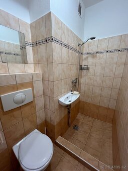 prodej 1+kk ve Znojmě - 3