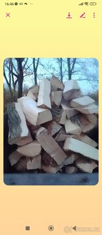 Dřevo metrové štípané - 3