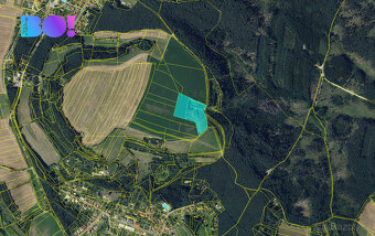 Prodej pole, 16985 m², Rudka u Kunštát - 3