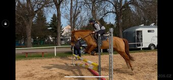 Pony B 8 let , i pro méně zkušené dítě - 3
