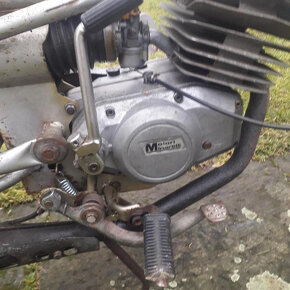 Testi Cricket P4A 1977 (Malaguti Fifty) - 3
